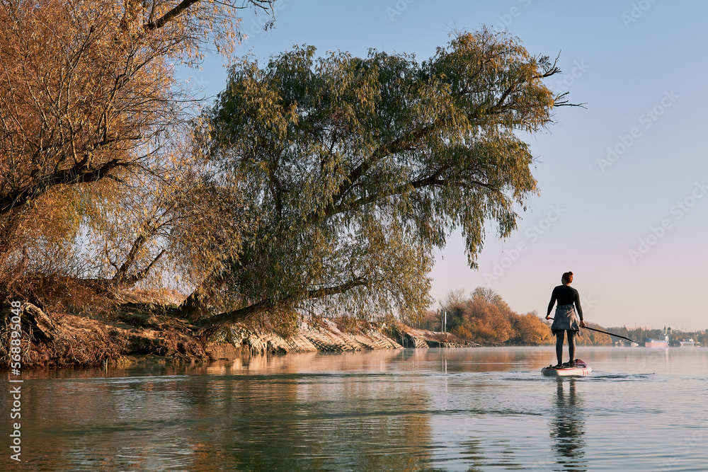 Rear view of woman paddle on stand up paddle board (SUP) at the morning on quiet autumn Danube river near shore with trees