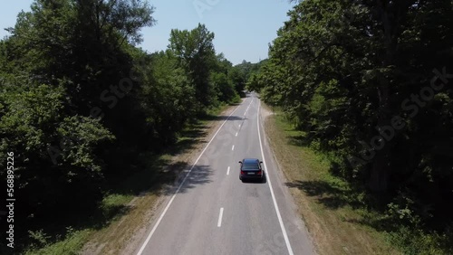 BLUE CAR DRIVES THROUGH THE FORESTS PERFECT ROUTE