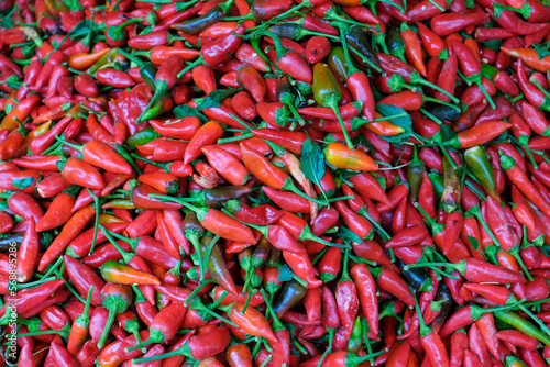Heap of red hot chili peppers