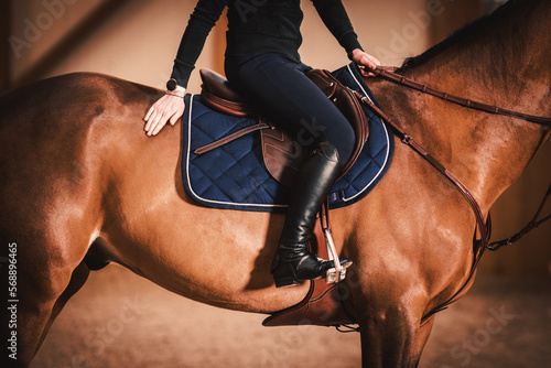 Fotobehang Stylish Equestrian Rider on a Horse in Luxury Brown Leather Equipment