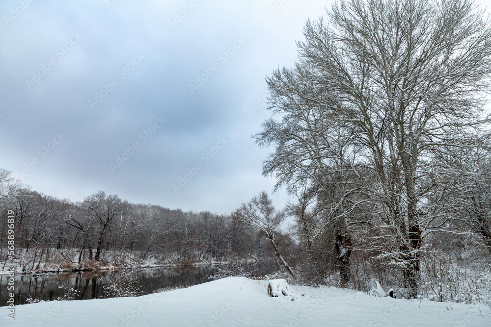 Fototapeta premium Picturesque snowy trees on the bank of the river in a winter atmosphere after a snowfall. Forest in the snow on the riverbank and the reflection of trees in the water, the gray sky before the snowfall