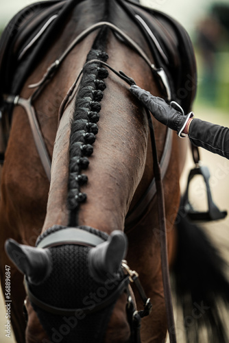 Perfect Show Jumping Horse Plaits © peterzayda
