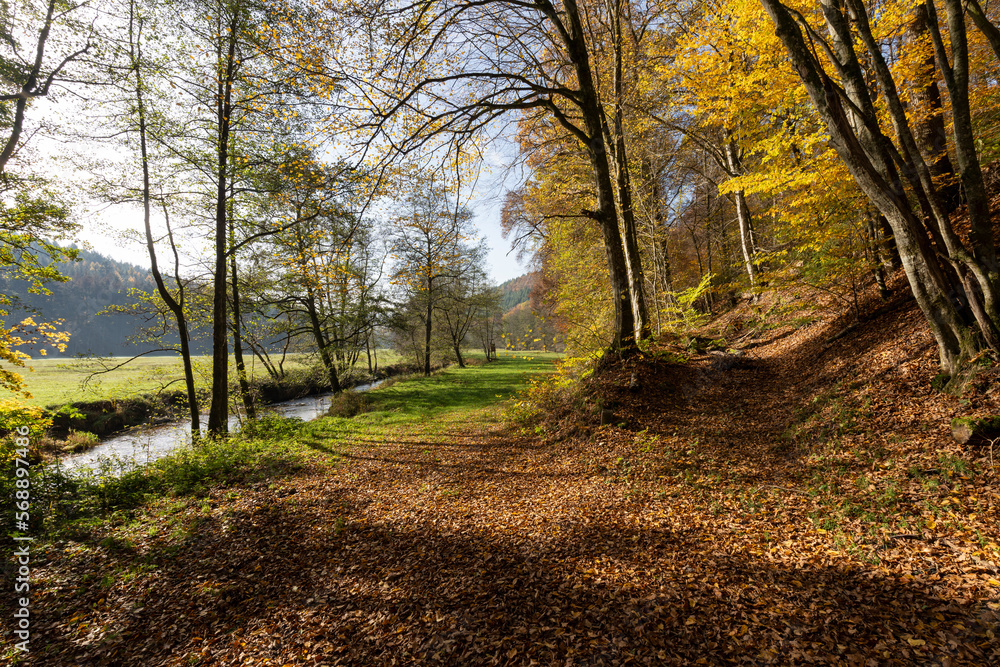Obraz premium Das Naturschutzgebiet Unteres Schondratal, zwischen der Gemeinde Heiligkreuz und Gräfendorf, im Biosphärenreservat Rhön und dem Naturpark Spessart, Unterfranken, Franken, Bayern, Deutschland