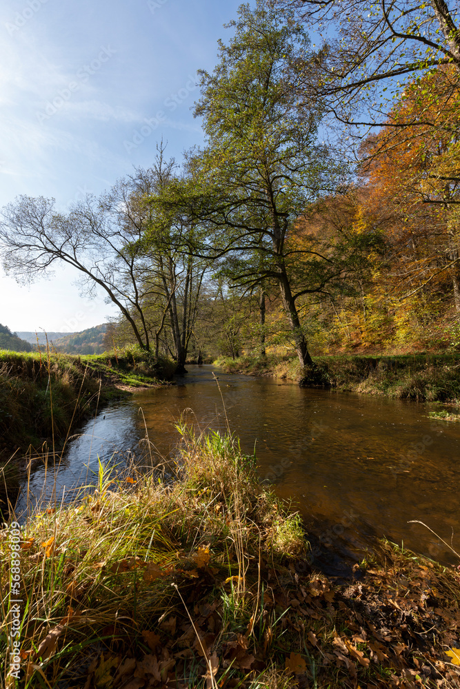 Fototapeta premium Die Schondra im Naturschutzgebiet Unteres Schondratal, zwischen der Gemeinde Heiligkreuz und Gräfendorf, Unterfranken, Franken, Bayern, Deutschland