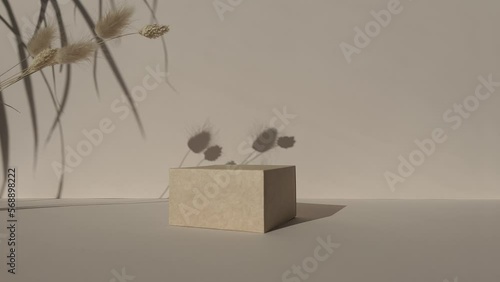 Square Podium on beige background. Product promotion.Pedestal with a cottonweed.Front view, studio photography.