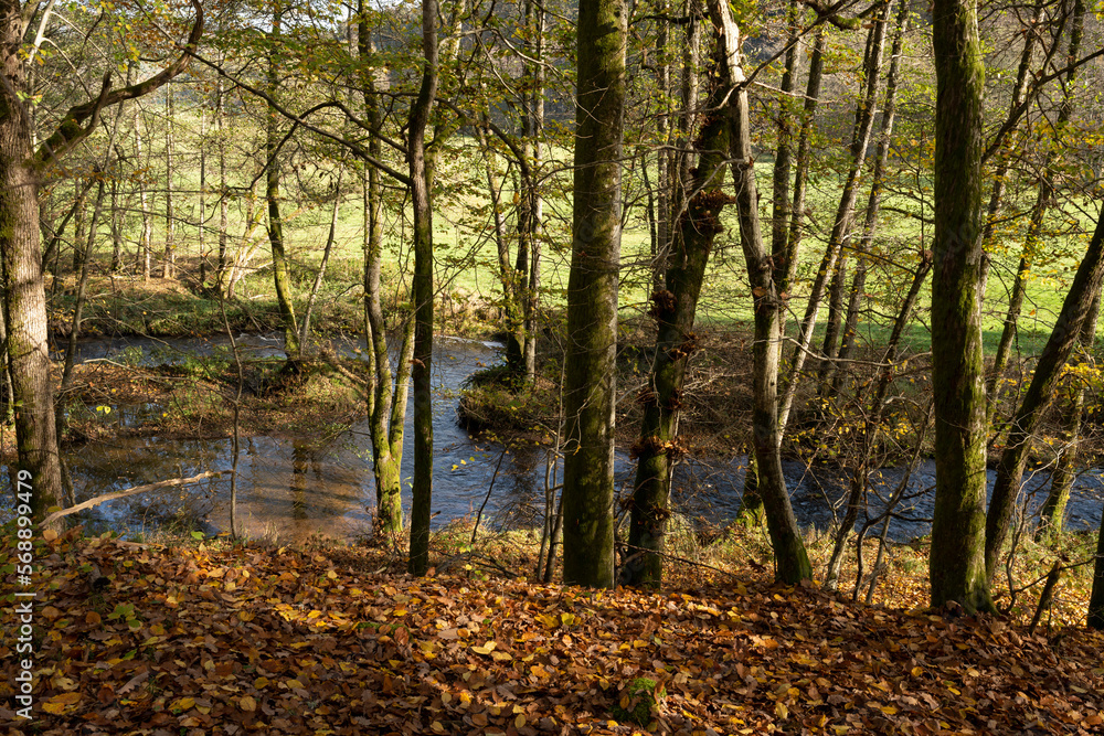 Obraz premium Das Naturschutzgebiet Unteres Schondratal, zwischen der Gemeinde Heiligkreuz und Gräfendorf, im Biosphärenreservat Rhön und dem Naturpark Spessart, Unterfranken, Franken, Bayern, Deutschland