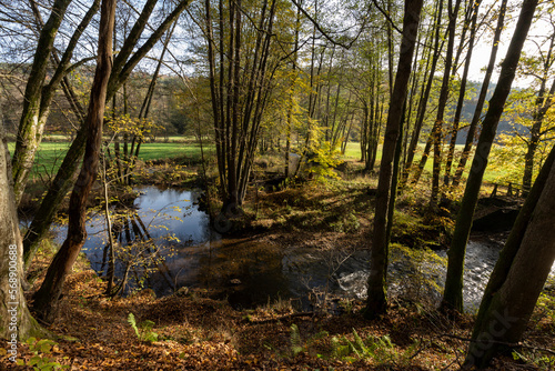 Das Naturschutzgebiet Unteres Schondratal  zwischen der Gemeinde Heiligkreuz und Gr  fendorf  im Biosph  renreservat Rh  n und dem  Naturpark Spessart  Unterfranken  Franken  Bayern  Deutschland
