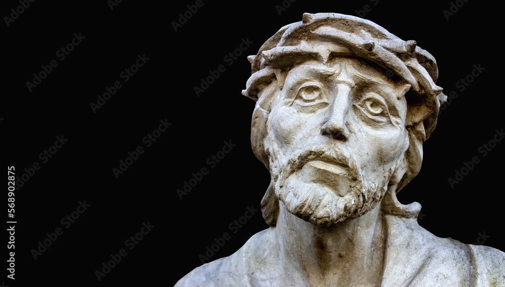 The face of Jesus Christ in a crown of thorns before suffering The face of Jesus Christ in a crown of thorns before suffering
