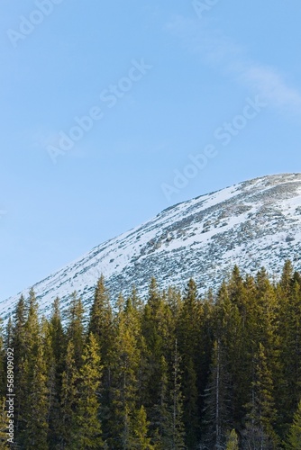 View of the hill from the ski track in  Bydalen