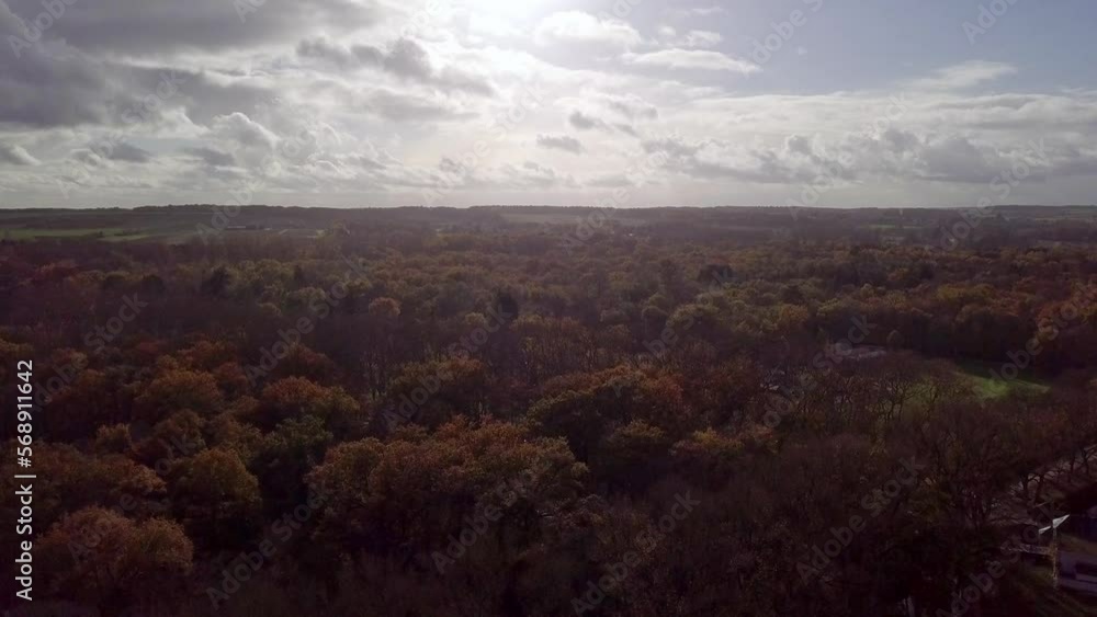 aerial image of french forest in autumn aerial image of french forest in autumn