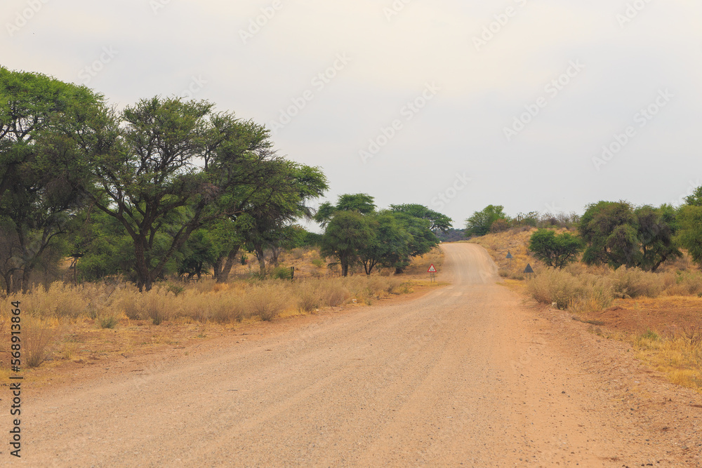 Fototapeta premium Gravel road to Waterberg Plateau National Park. Namibia.