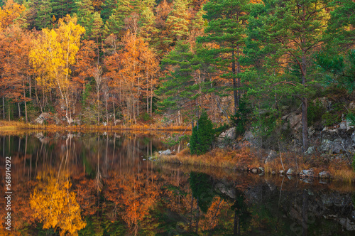 Fototapeta Naklejka Na Ścianę i Meble -  Fall colors at still lake