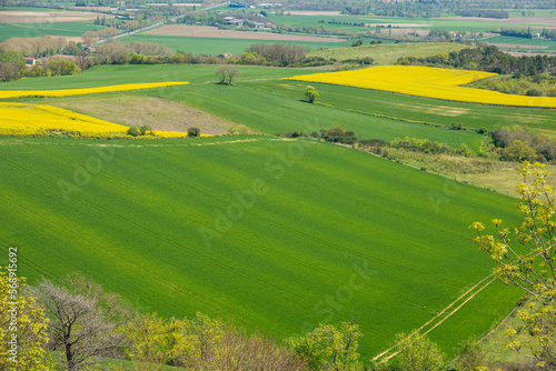 beautiful agricultural fields