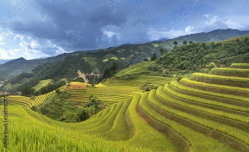 rice terraces at china