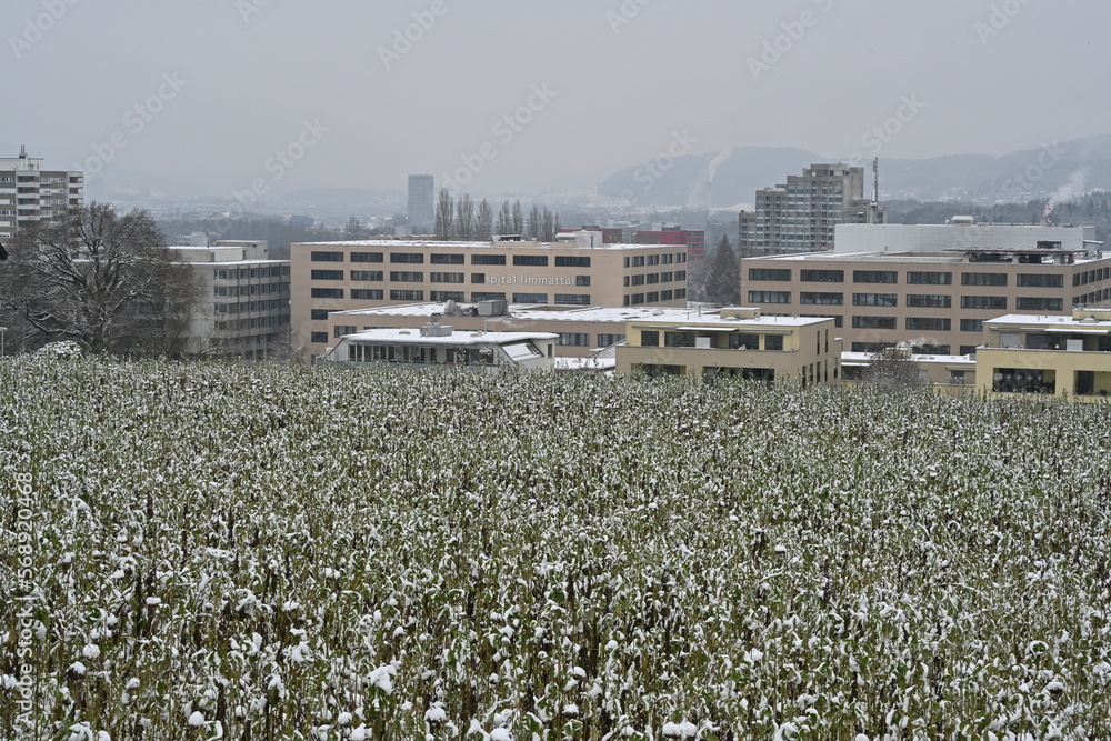 Fototapeta premium Limmattal Hospital in German called Limmattal Spital behind agricultural field in winter. New buildings of regional hospital in canton Zurich equipped with heliport. 