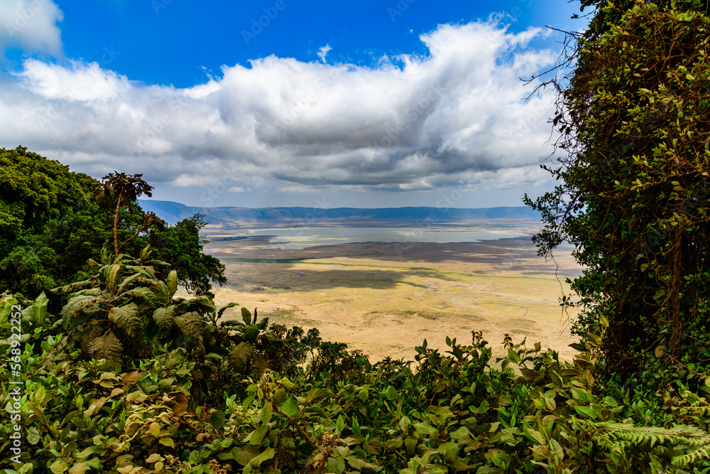 View of the Ngorongoro crater in Tanzania. Ngorongoro conservation area. African landscape. WIld nature