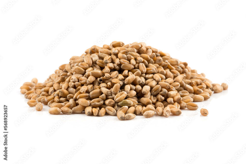 Fototapeta premium Wheat grain on white
