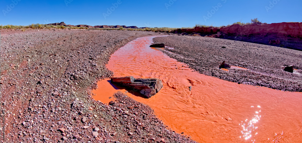 The red water of Lithodendron Wash in Petrified Forest National Park ...