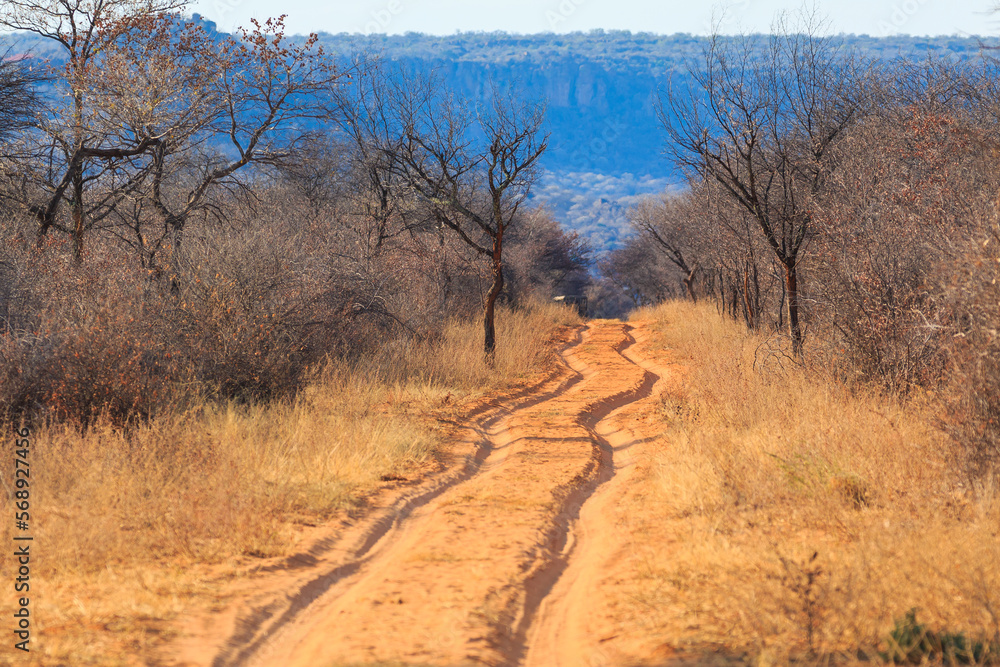 Sandy road through Waterberg Plateau National Park. Namibia. Sandy road through Waterberg Plateau National Park. Namibia.