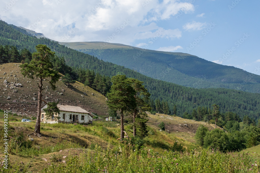 Panoramic view of idyllic mountain scenery with mountain chalet and fresh green mountain pastures with blooming flowers on a sunny day with blue sky and clouds in summer