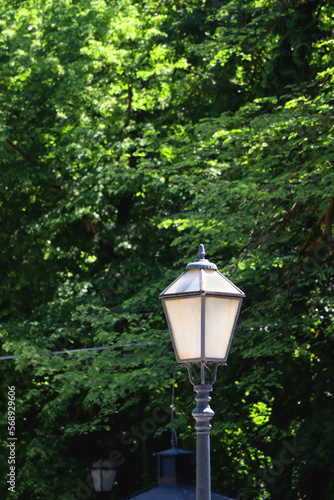 Vintage street lamp and lush tree with green leaves. Selective focus.