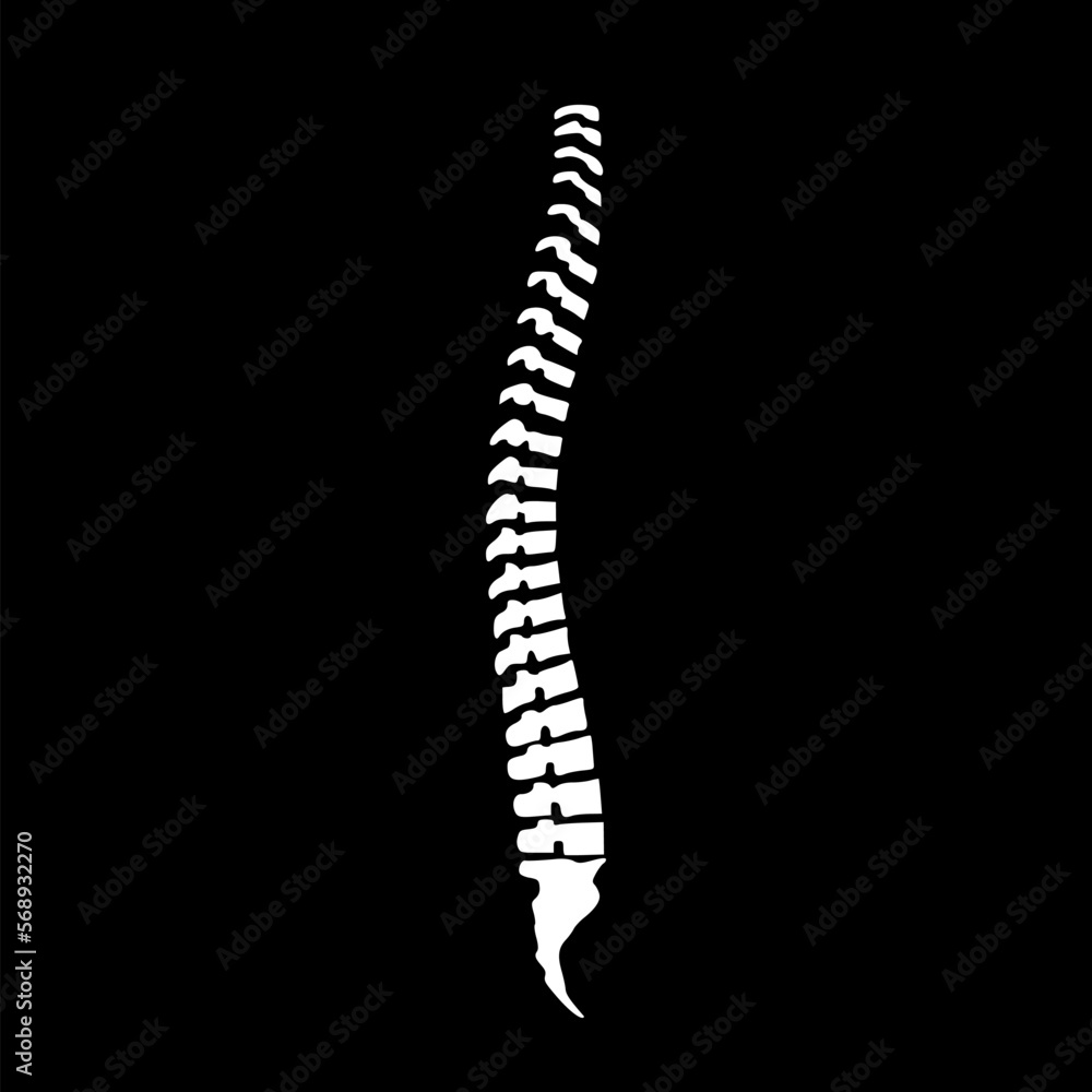 Spine icon. Monochrome simple sign from anatomy icon isolated on black background. Spine icon. Monochrome simple sign from anatomy icon isolated on black background.