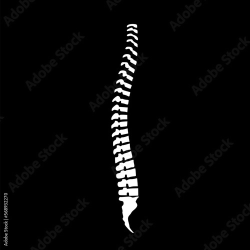 Spine icon. Monochrome simple sign from anatomy icon isolated on black background. 