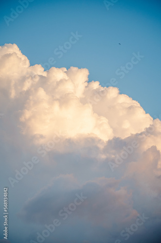 Fototapeta Naklejka Na Ścianę i Meble -  Portrait of calm and depressive blue sky
