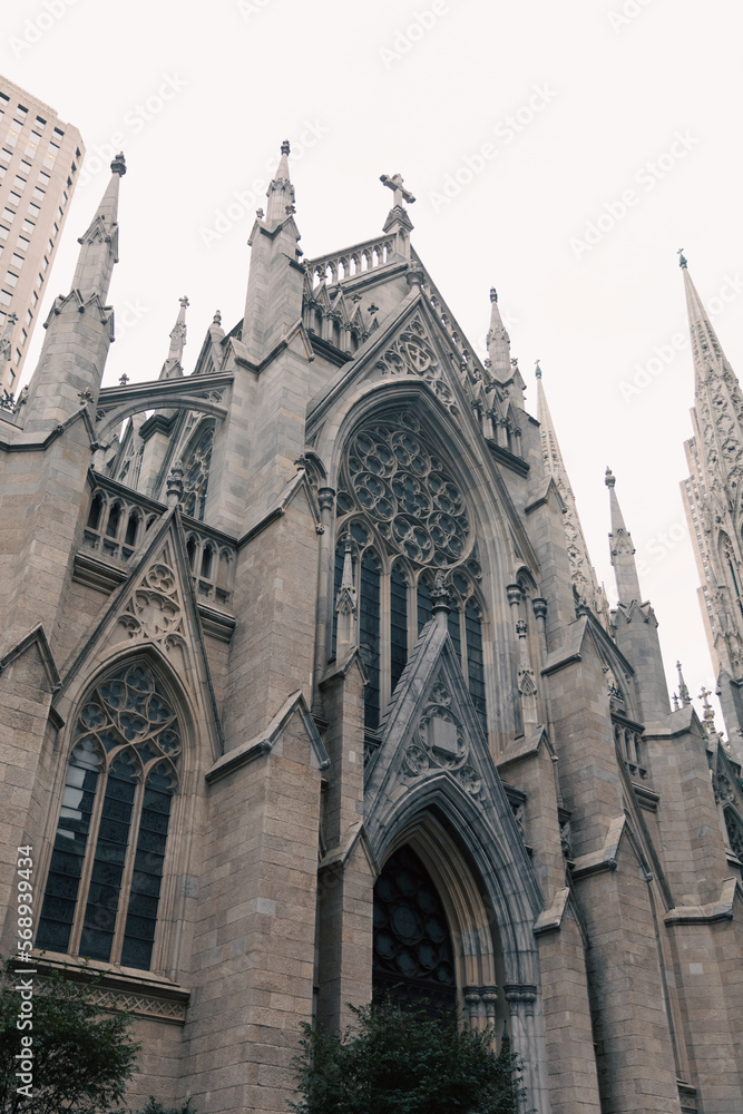 low angle view of ancient St Patricks Cathedral near trees in New York City.