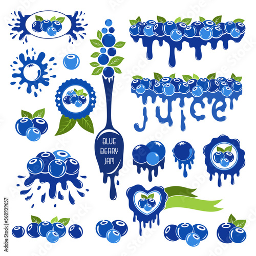 Blueberry design elements set.