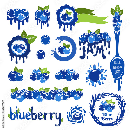 Blueberry design elements set.