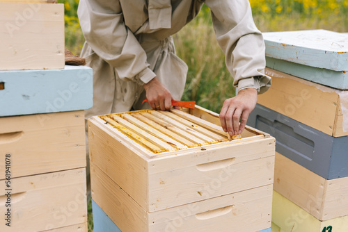Farmer anonym apiculture honeycomb  photo