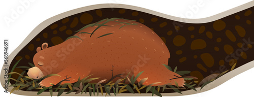 Bear sleeping or hibernating in its den or burrow. Cute animal habitat illustration for children. Kids animal house cartoon, inside the bear den. Vector wildlife drawing for kids.