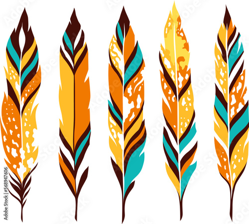 Bird colored feathers set