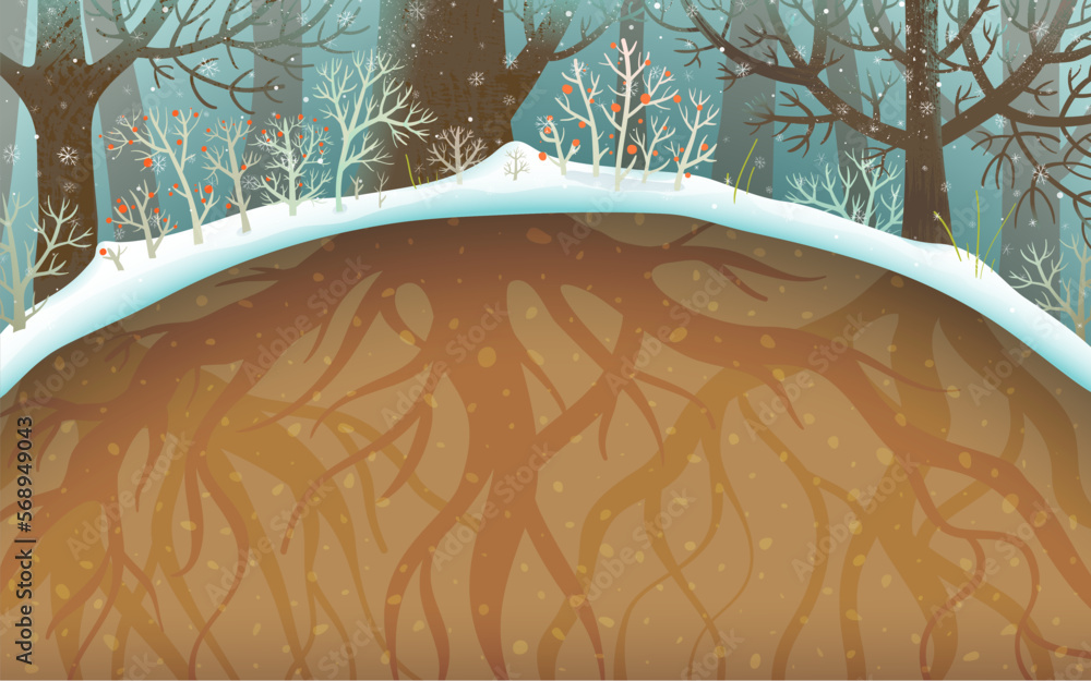Forest Roots Snow Winter forest with roots below ground, trees and bushes covered with ...