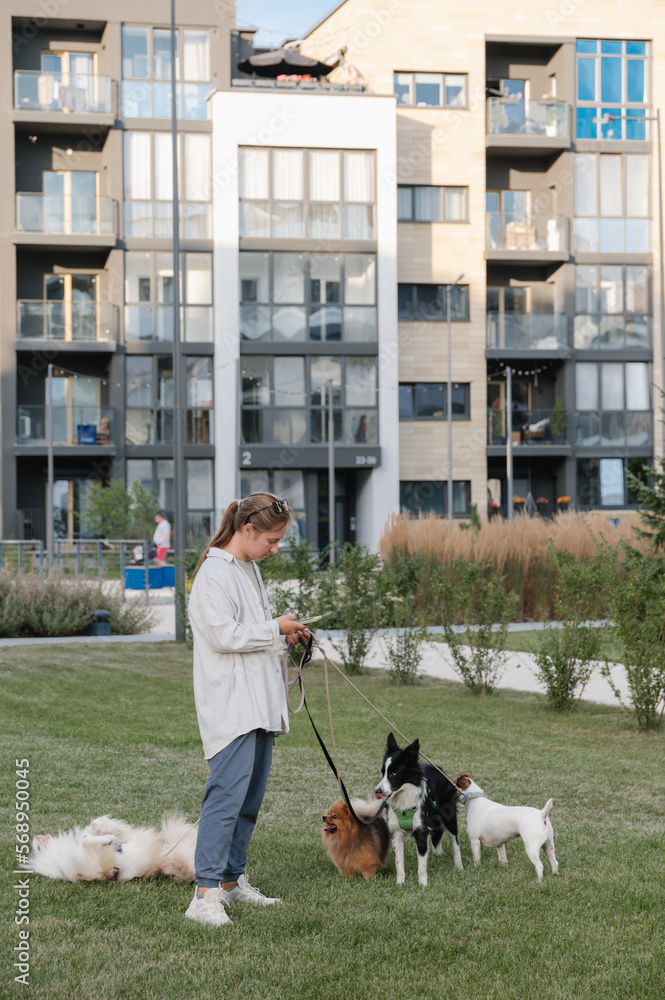 Woman with dogs walking on lawn near building Woman with dogs walking on lawn near building