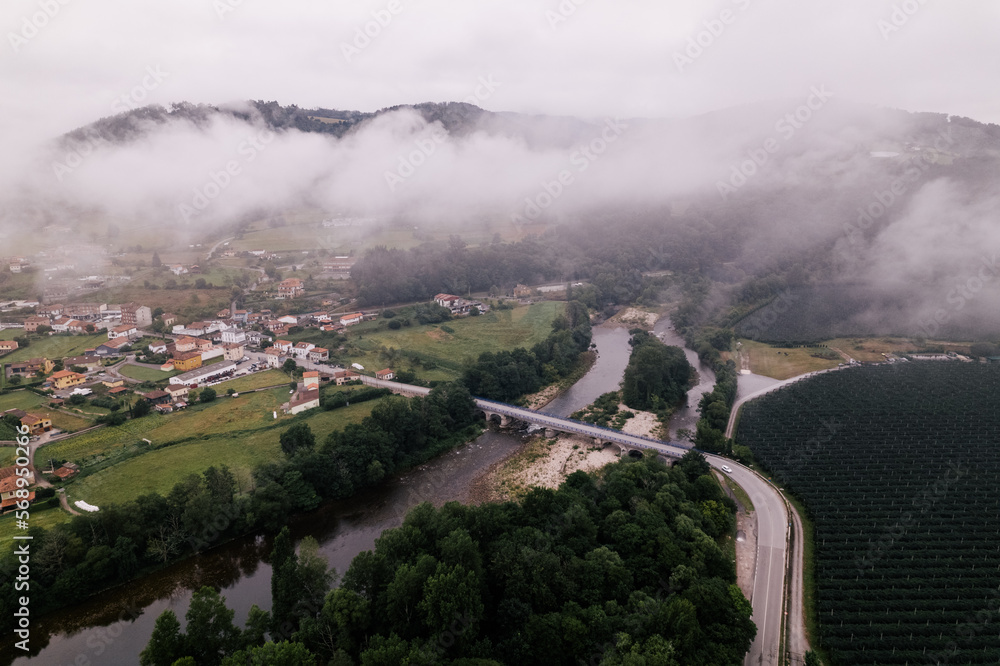 drone aerial images of a green winter forest with a small village and a bridge