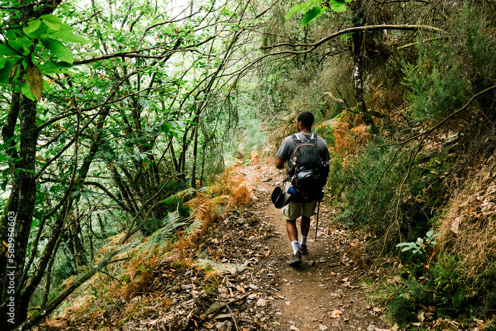 man hiking in the forest and mountains man hiking in the forest and mountains