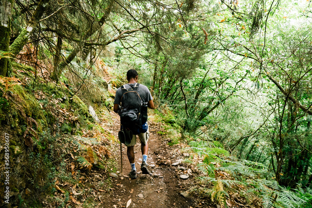 man hiking in the forest and mountains man hiking in the forest and mountains