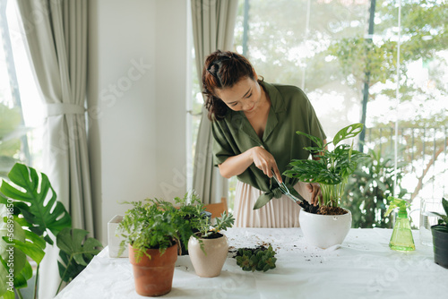 Young gardener woman holding rake in hands, replant plant in new pot