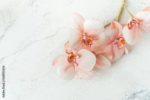 Making edible orchid sugar flowers with powdered dyes on the white marble background. Macro shot. Flat lay