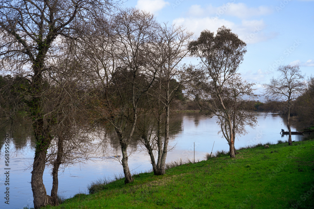Calm sunrise on the river with winter trees Calm sunrise on the river with winter trees