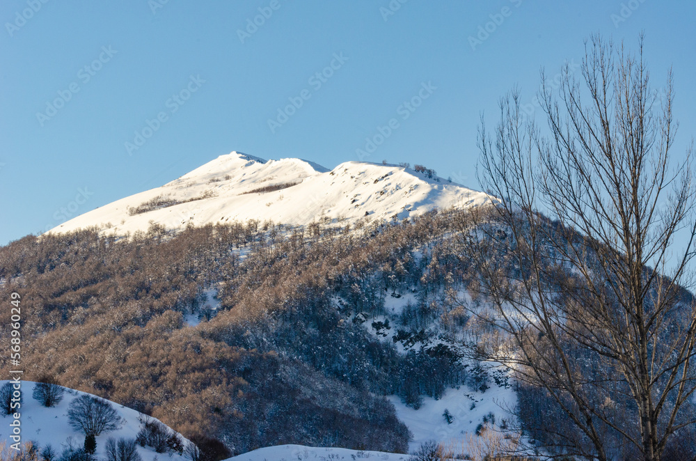 Obraz premium Montaña nevada con rocas y arboles y cielo azul