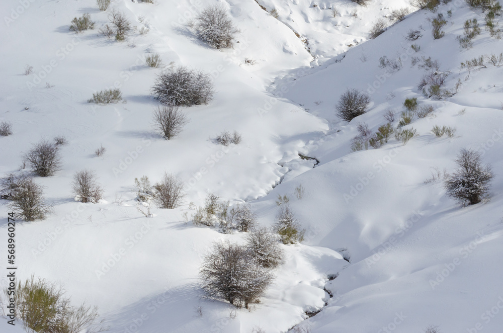 Paisaje nevado con arboles y un arroyo Paisaje nevado con arboles y un arroyo