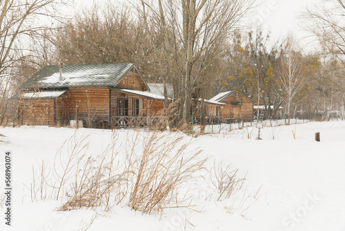 wooden cottages under the snow © Olena Butivshchenko