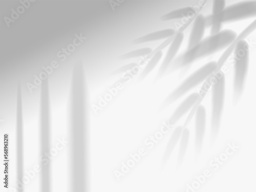 Shadow mockup. Sunlight overlay effect from window frames and tropical plant branch  palm tree leaves on room wall  ceiling or floor. Realistic background. Vector illustration