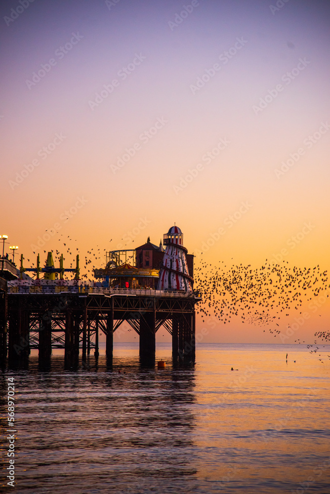 The Starlings over Brighton Pier