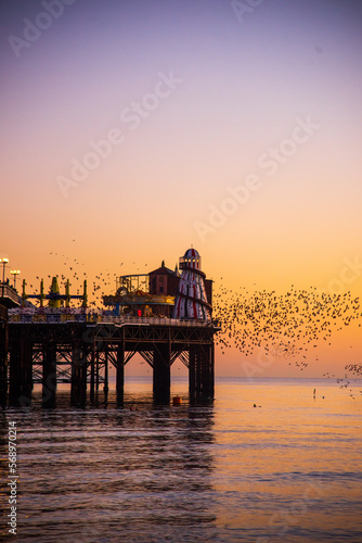 The Starlings over Brighton Pier