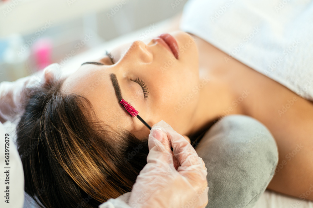 Crop beautician brushing eyebrows of female client Crop beautician brushing eyebrows of female client