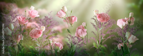 Fantasy Eustoma flowers grow in a row in enchanted fairy tale dreamy garden with fabulous fairytale blooming tender roses in early magical morning on mysterious floral green background with sun rays.